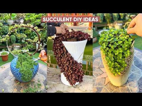 Creative Succulent DIY Ideas You Need to Try! 🌵✨
