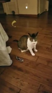 81 reactions · 37 shares | Sabrina likes to have fun! She is enjoying...