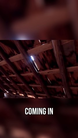 Exploring a Historic Cabin - History & Preservation