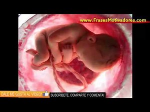 El aborto (Reflexiones para la Vida)