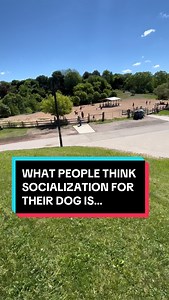Socialization is the most misunderstood thing in the dog world. It’s the process of learning to behave in a way that is acceptable to society. All of these dogs had bad experiences, were fearful or were reactive due to too much dog play in daycares, dog parks, lack of exposure, genetics, terrible leash greetings or off leash dog incidents. A well socialized dog is a dog that is neutral. All they need is YOU 🫵. Focus on your relationship, build your value, create neutrality around dogs and peopl