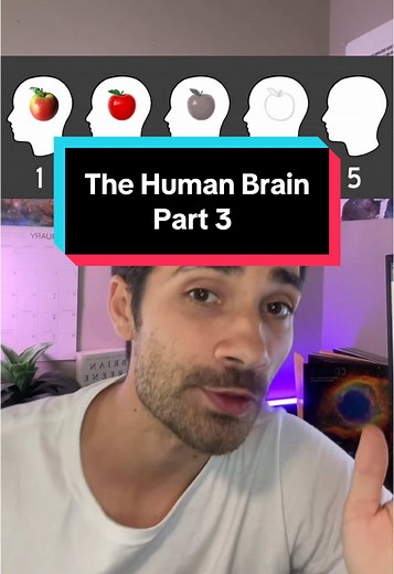 Understanding Aphantasia: The Mind's Eye Explained