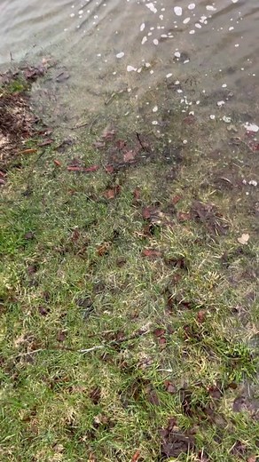 This is the highlight of my week #whirlpool #stcroixriver #stillwatermn #goodbye