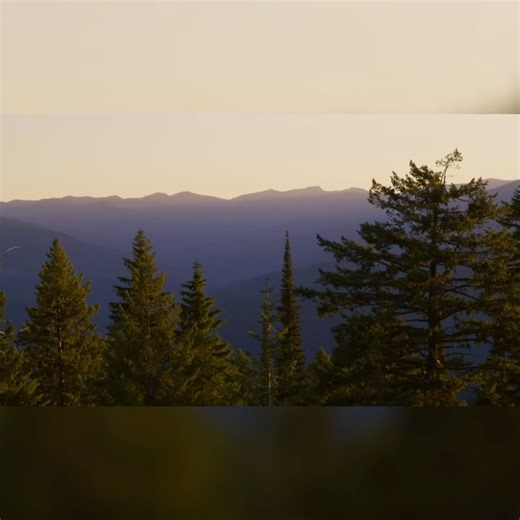 14K views · 239 reactions | Jeff Bridges on Reels | Facebook