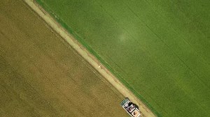 Thai farmers cash in on global rice price hike