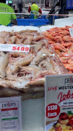 POV: Prawn Section 🦐🧊 Sydney Fish Market Walkthrough 🇦🇺シドニー新フィッシュマーケットのエビコーナーを歩いて紹介👀