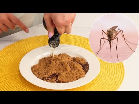 Mix Cinnamon with Oil. Repel Insects Better Than Chemicals