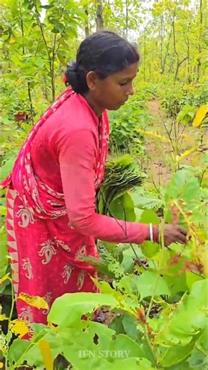 How are leaf plates made 😱🤔 #shortvideo #making #plate #leaf #factory
