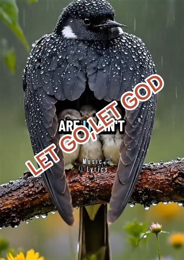 Let go,Let God @xania_monet #foryoupage❤️❤️ #Music_lyrics #Xania_monet #LetgoLetGod #lyrics_songs it ain't your job to carry every soul you weren't built to bleed for every scar