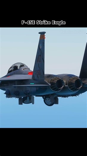 F-15E Strike Eagle rear view up close #military #aviation #jets