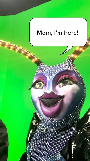 Discover the Firefly Mask on The Masked Singer