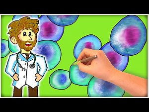 Stem Cells: How FASTING Enhances STEM CELL REGENERATION!