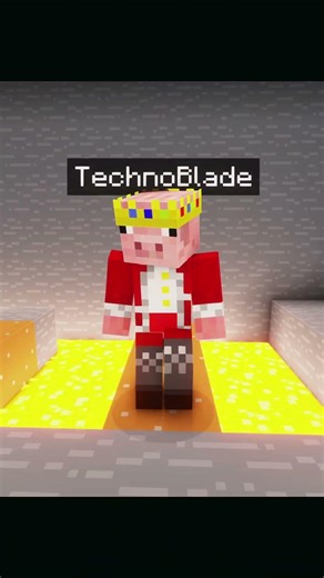 When Steve and Techno rocked