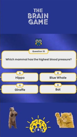 General Knowledge Questions! You got the answer? 🦒 🐳 🦛 🦇