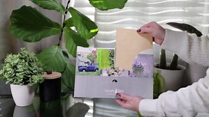 Leanin' Tree, Country Daydreams, Greeting Cards Assortment Box, Assorted Cards with Envelopes All Occasion, (20 Assorted Cards, 22 Colorful Envelopes)