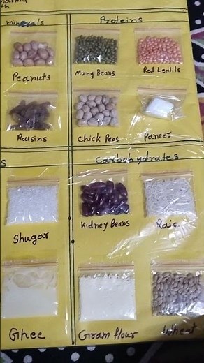 components of food's...6th class science project