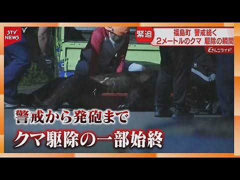 【駆除の瞬間】横たわる体長２mのクマ カメラが捉えた一部始終 住民は安堵と不安 警戒態勢続く福島町
