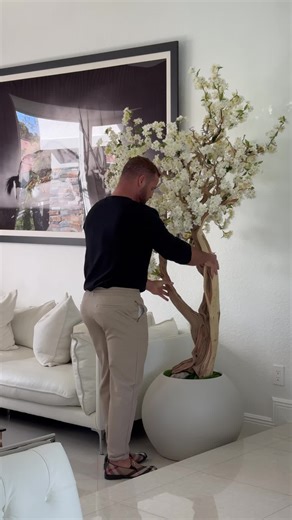 Create a Cozy Home with Low-Maintenance Greenery