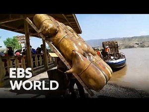 The Mysterious Land Where Desert Meets Lake In China #EBSWORLD