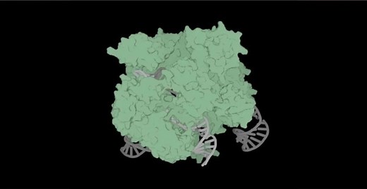 世界首个完全由AI设计的CRISPR基因编辑器来了！已成功编辑人类DNA，且免费开源_腾讯新闻