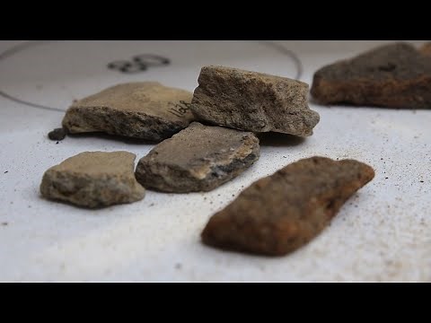 Archaeological Artifact Processing with Dr Bloch