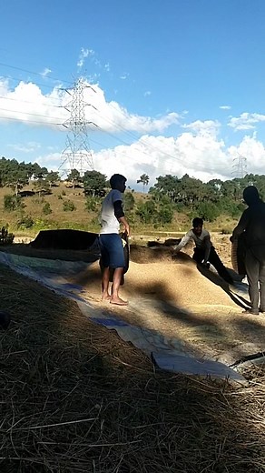 Good morning #publipostweeklychallenge #cantsleepmoments #weeklypostchallenge | Dame Lapasam