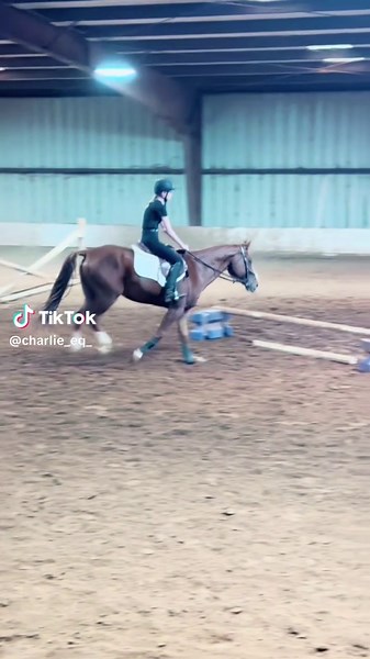 horrible eq but its ok #labubu #hobbyhorse