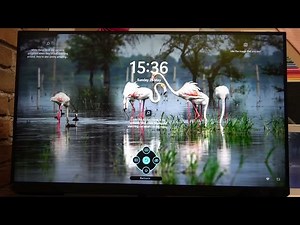 How To Enable & Disable FreeSync Premium on Samsung Odysse...