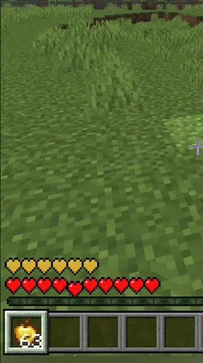 100% working Minecraft fact