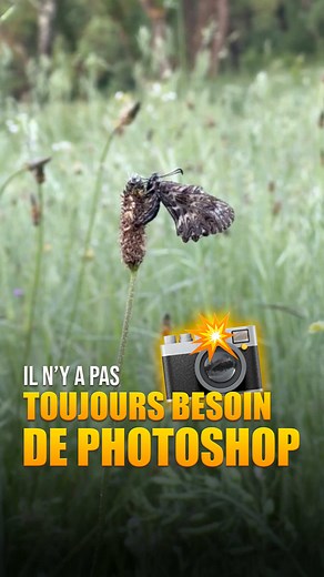 Améliorez vos photos sans retouche : Astuce Macro