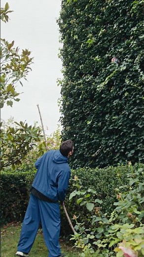 we all know that feeling 😅⚽️ #adidas #football #kvaratskhelia