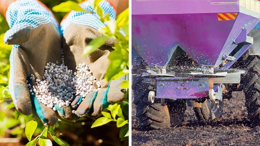 Researchers Find a Method For Making Green Fertilizer