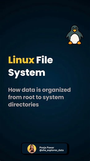 Dr. Pooja | Python | SQL | Power BI | Excel on Instagram: "Understanding the Linux file system is essential for anyone working with development, data, cloud, or system administration. Everything starts at the root directory and branches into clearly defined paths, each with a specific responsibility. Directories like /bin and /sbin handle core system commands, /etc stores configuration files, /home keeps user data isolated, and /var manages logs and runtime files. This structure is not random. I
