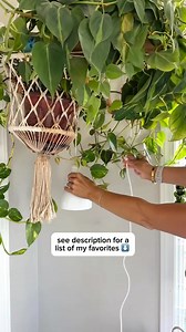 20K views · 263 reactions | Comment ‘LIGHT’ and I’ll dm you a list of...