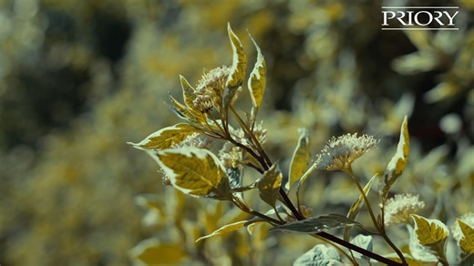 易 At Priory, we’re proud to support people living with an acquired...