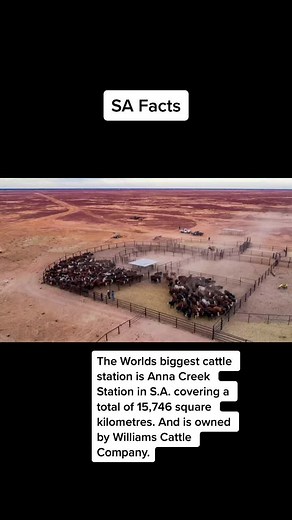 World's Biggest Cattle Stations: Anna Creek Station in South Australia