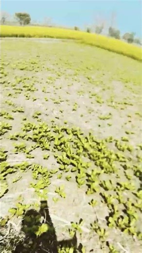 hello guys mere ko subscribe karoge comment mein apna scanner bhejo thand per milenge #fain