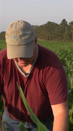 789K views · 19K reactions | Watch “soil carbon cowboys” and the rest...