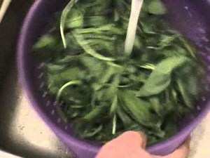 Bärlauchnudeln mit Löwenzahnknospen