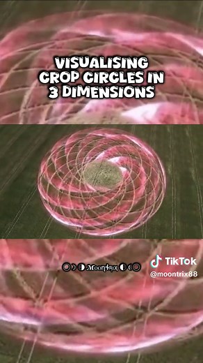 Visualizando Círculos de Cultivo en 3D: Geometría Sagrada