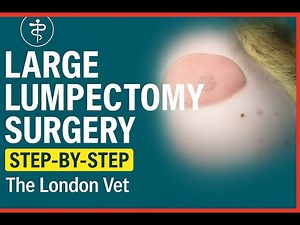 How to Perform a Large Lumpectomy | Veterinary Surgical Guide