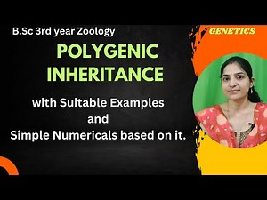 Polygenic inheritance B.Sc 3rd Year||Numerical based on polygenic Inheritance||Human Skin Colour||