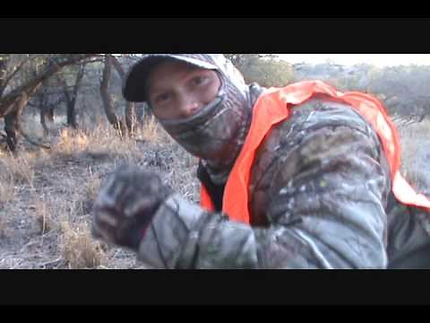 Mountain lion hunt at 11 yards