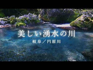 【自然音】神秘の伏流水が流れる円原川｜エメラルドブルーの清流で熟睡【岐阜・秘境】