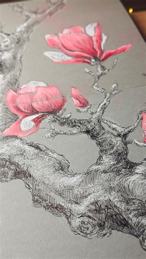 Iryna Shek 🇺🇦 on Instagram: "Magnolia Tree Drawing in Sketchbook 🌸 #sketchbookart #sketchbookdrawing #drawingprocess #artprocess #treedrawing"