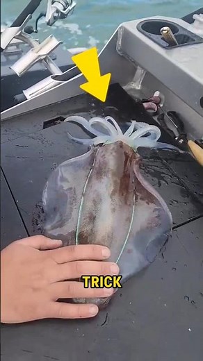 A MAGIC Trick To Kill Squid Fish 🦑