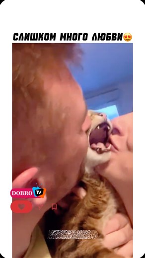 DOBRO TV on Instagram: "📌A lot of love 🥰"