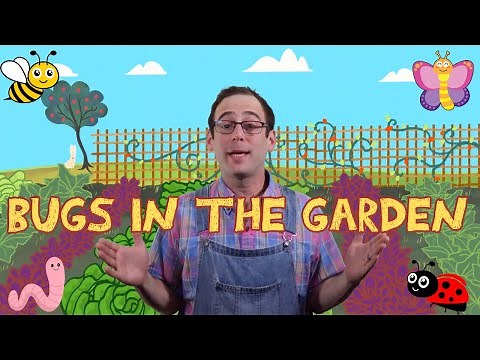 Bugs in the Garden Song 🐛 Learn Insects + Kids Songs | Fun Toddler Learning- Farmer Dave and Friends