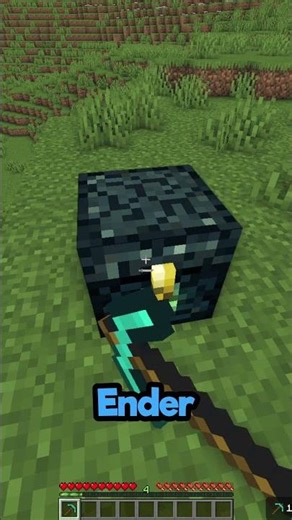 Why Don't You Use an Ender Chest?⛏️