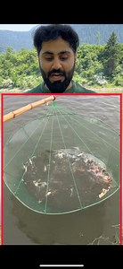 Fishing net technique | Does this really work 😱 #fishing #viralvideo #trendingpost #tricks #fishinglife | Akhoon Zahur